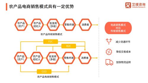 2021年中國(guó)農(nóng)產(chǎn)品電商發(fā)展報(bào)告 產(chǎn)業(yè)升級(jí)與投資機(jī)遇分析